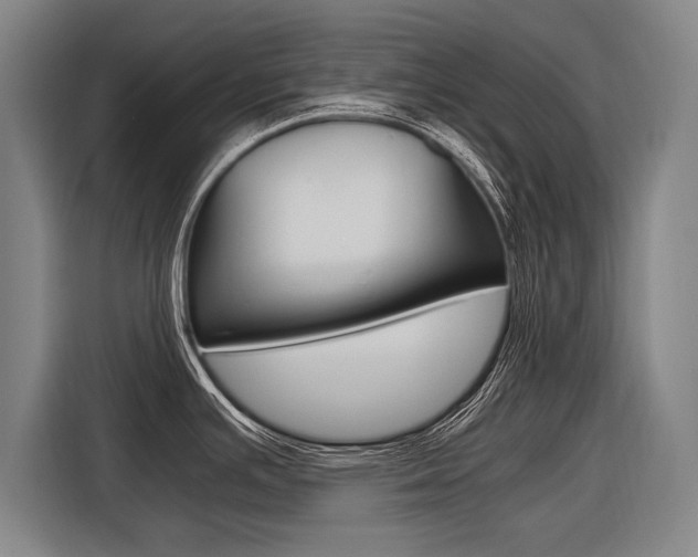 X0000116621391200912110932
