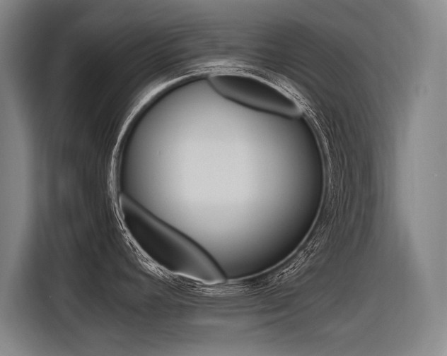 X0000116621392200912110932