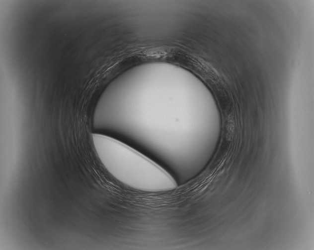 X0000116621394200912110931