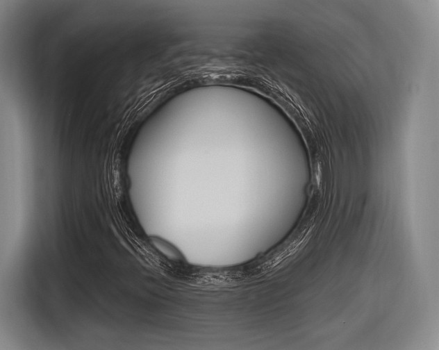 X0000116621396200912110931