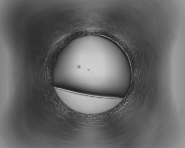 X0000116621398200912110931
