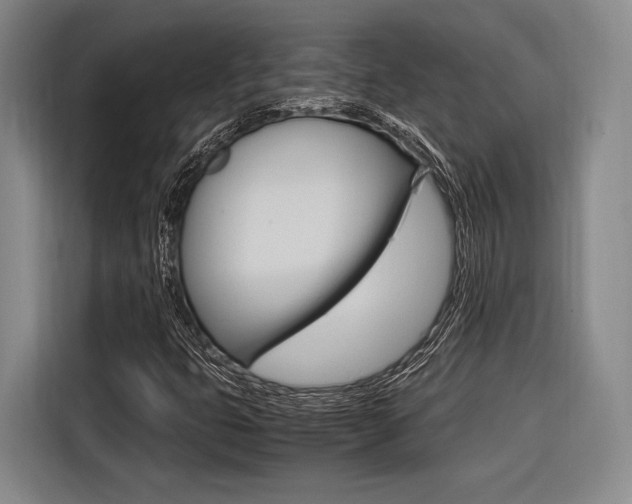 X0000116621399200912110931