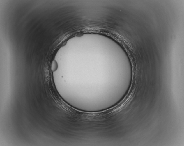 X0000116621401200912110931