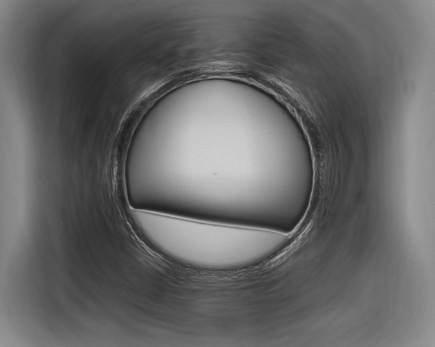 X0000116621402200912110931