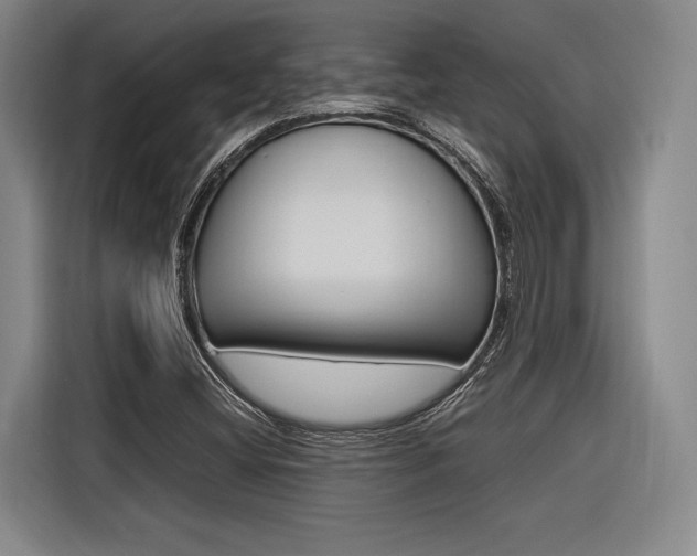 X0000116621404200912110931