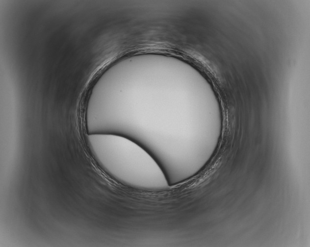 X0000116621405200912110931