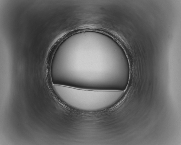X0000116621406200912110931