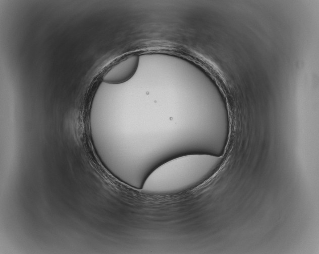 X0000116621407200912110931