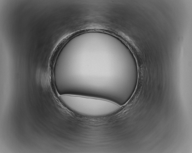 X0000116621408200912110931