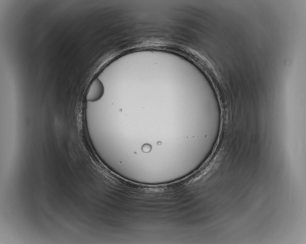 X0000116621409200912110931