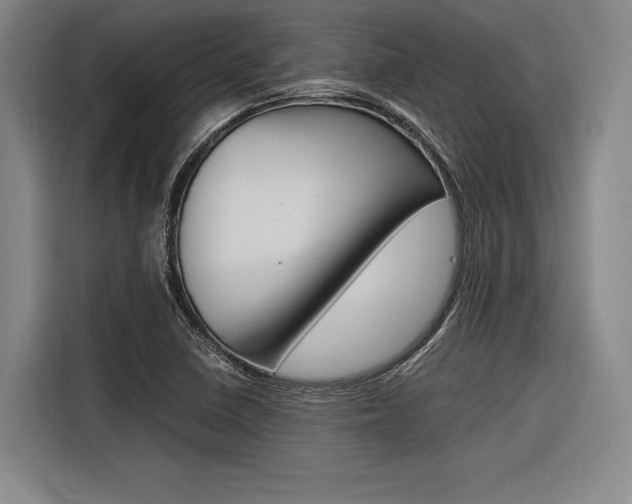X0000116621410200912110931