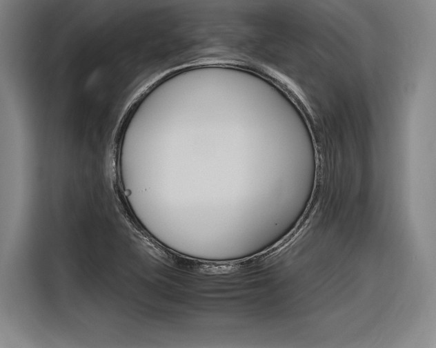 X0000116621415200912110932