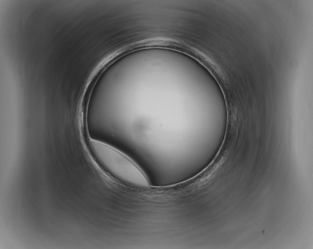 X0000116621418200912110932