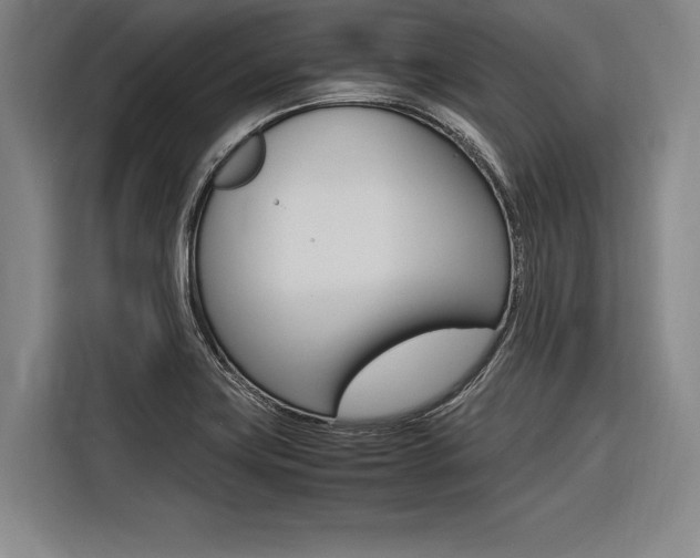 X0000116621419200912110932