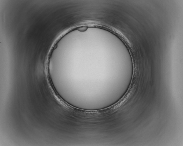 X0000116621421200912110932
