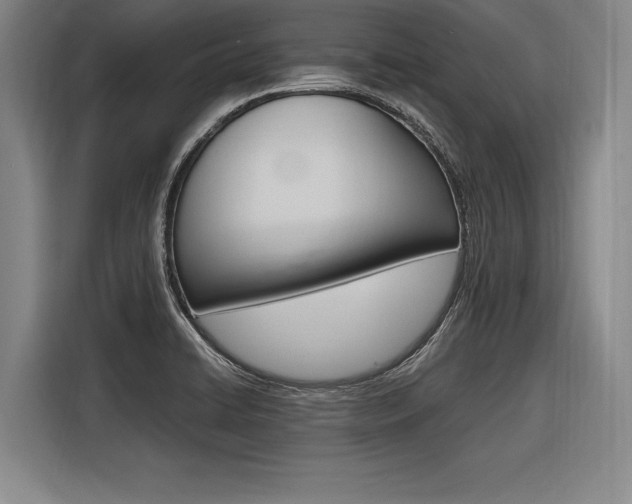 X0000116621422200912110932