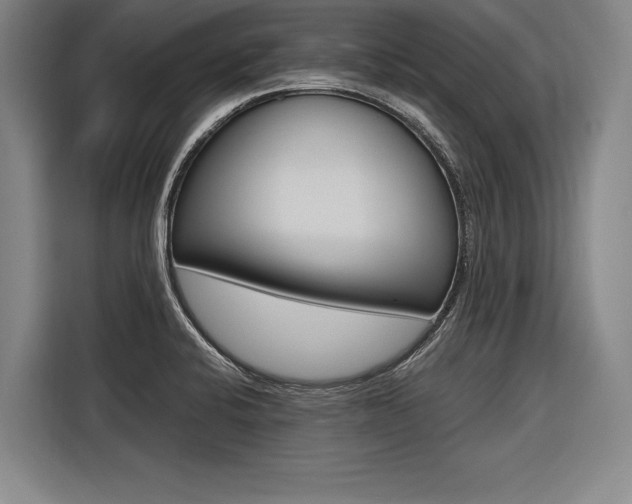 X0000116621424200912110932
