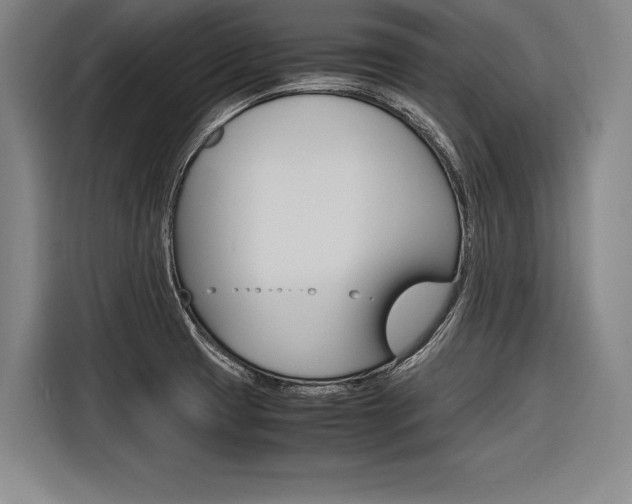X0000116621425200912110932