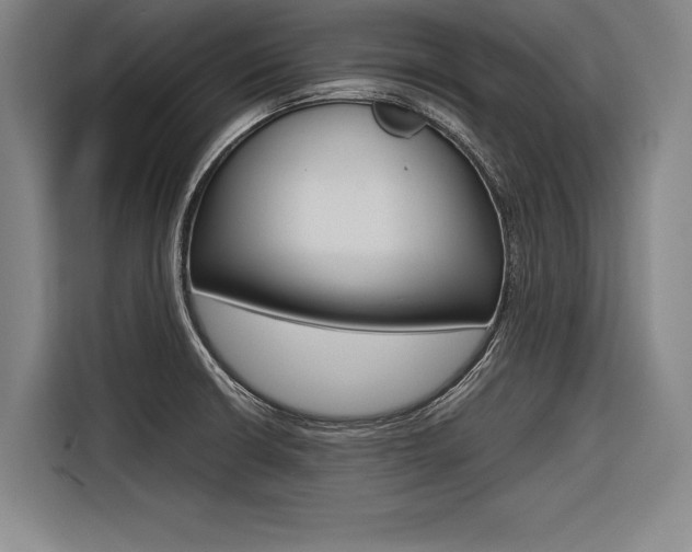 X0000116621426200912110932