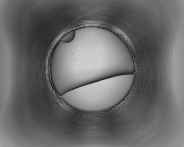 X0000116621427200912110932