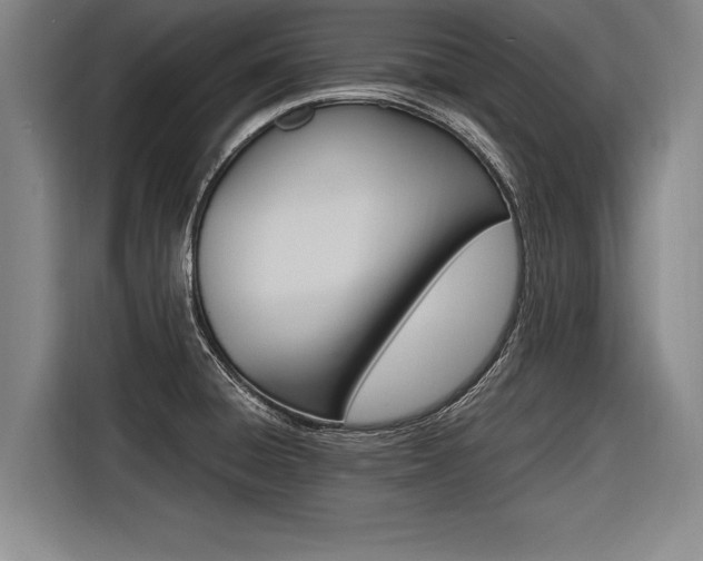 X0000116621428200912110932