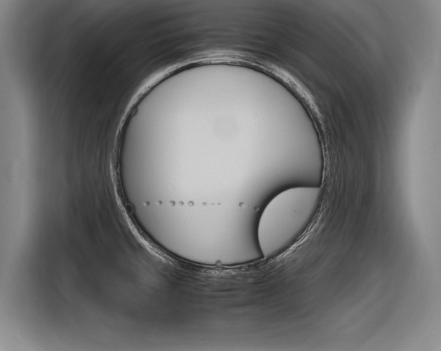 X0000116621429200912110932