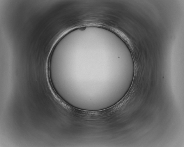 X0000116621431200912110932