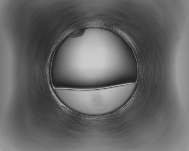 X0000116621434200912110932