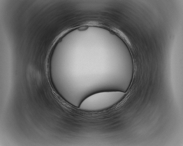 X0000116621435200912110932