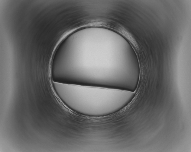 X0000116621436200912110932