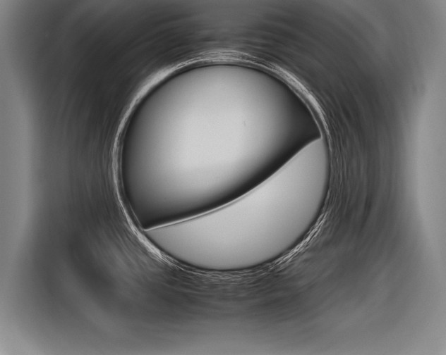 X0000116621437200912110932