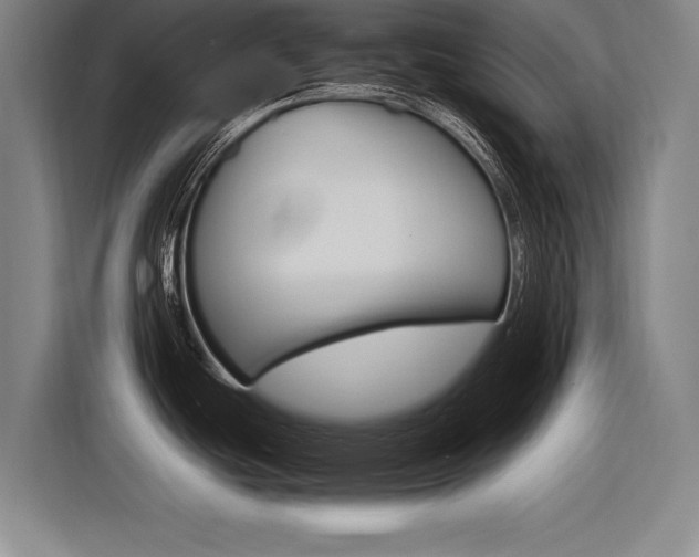 X0000116621439200912110932