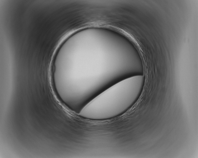 X0000116621440200912110932