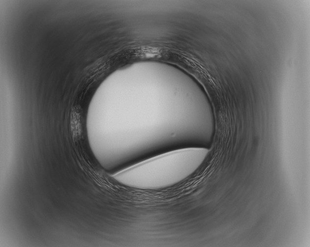 X0000116621442200912110931