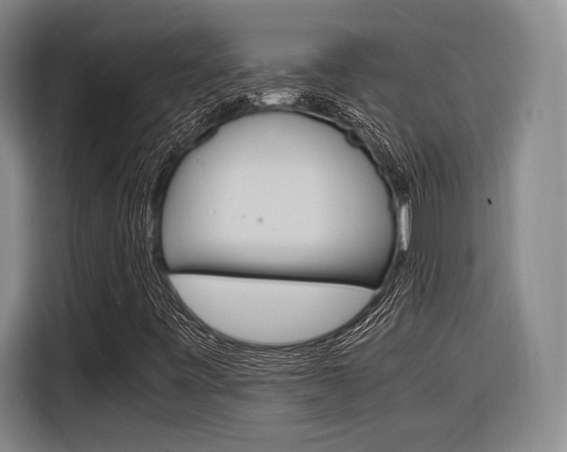 X0000116621443200912110931