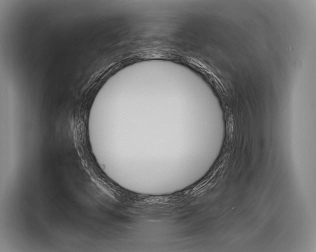 X0000116621446200912110931