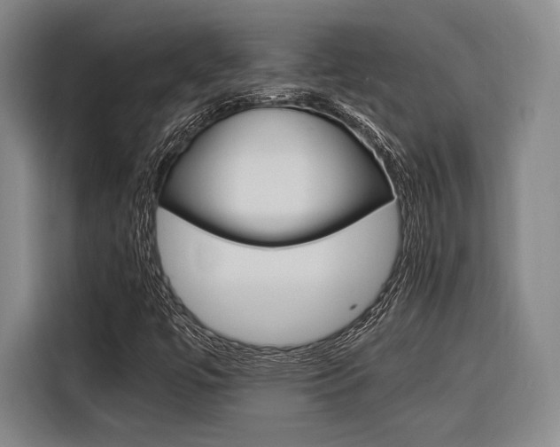X0000116621447200912110931