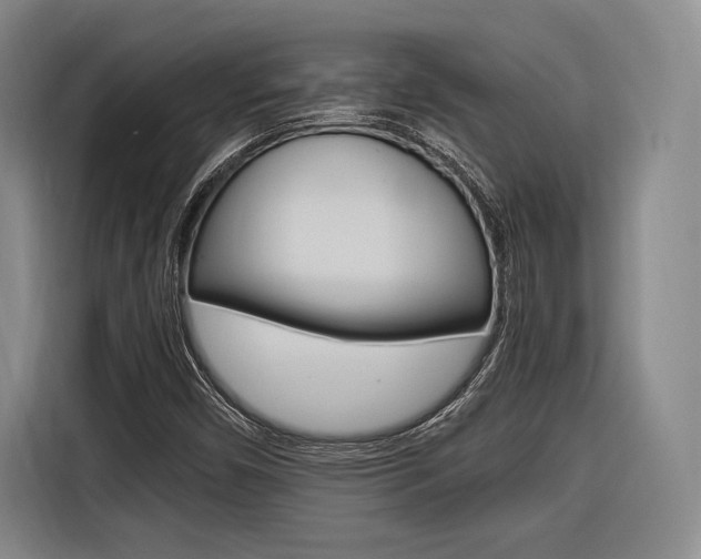 X0000116621450200912110931