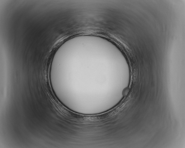 X0000116621451200912110931