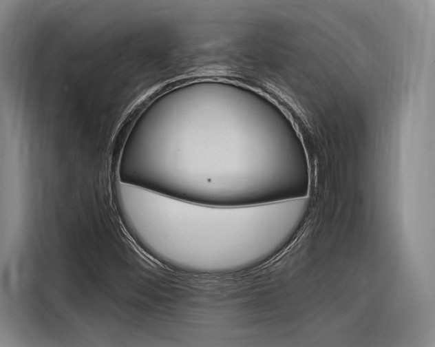 X0000116621452200912110931