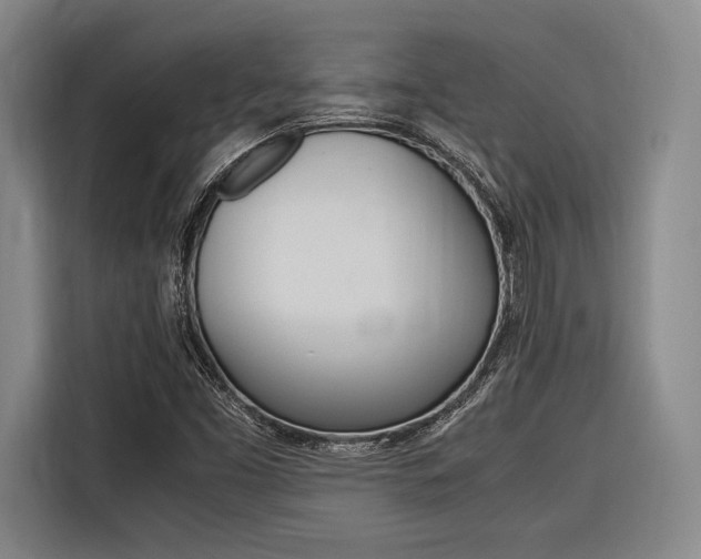 X0000116621453200912110931