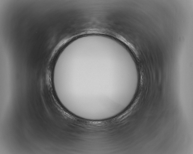 X0000116621454200912110931