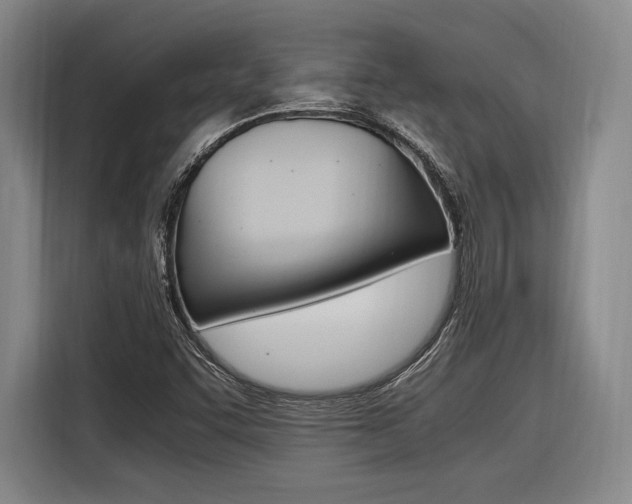 X0000116621455200912110931