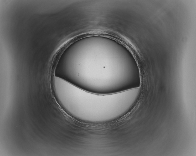 X0000116621456200912110931