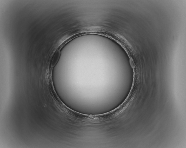X0000116621457200912110931
