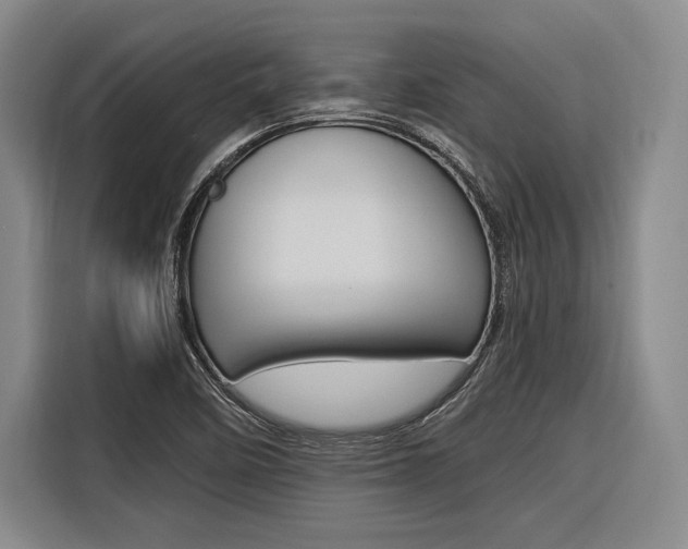 X0000116621458200912110931