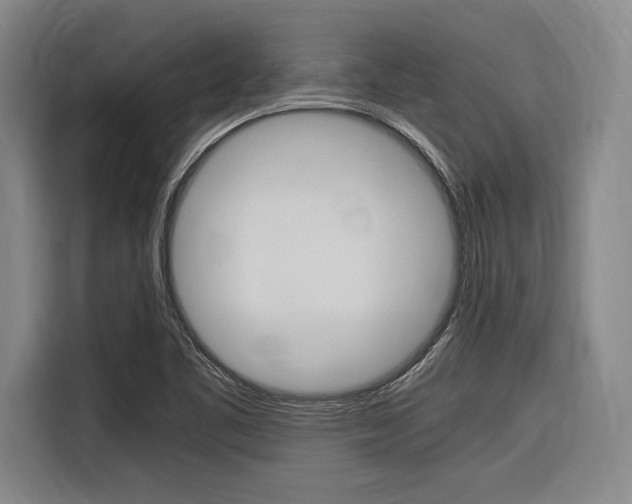 X0000116621461200912110931