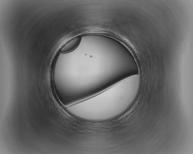 X0000116621463200912110931