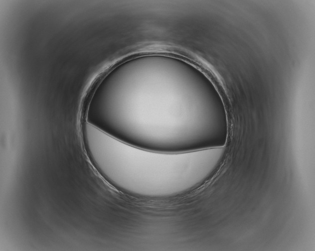 X0000116621464200912110931
