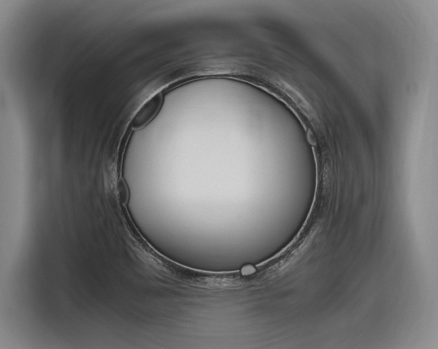 X0000116621465200912110931